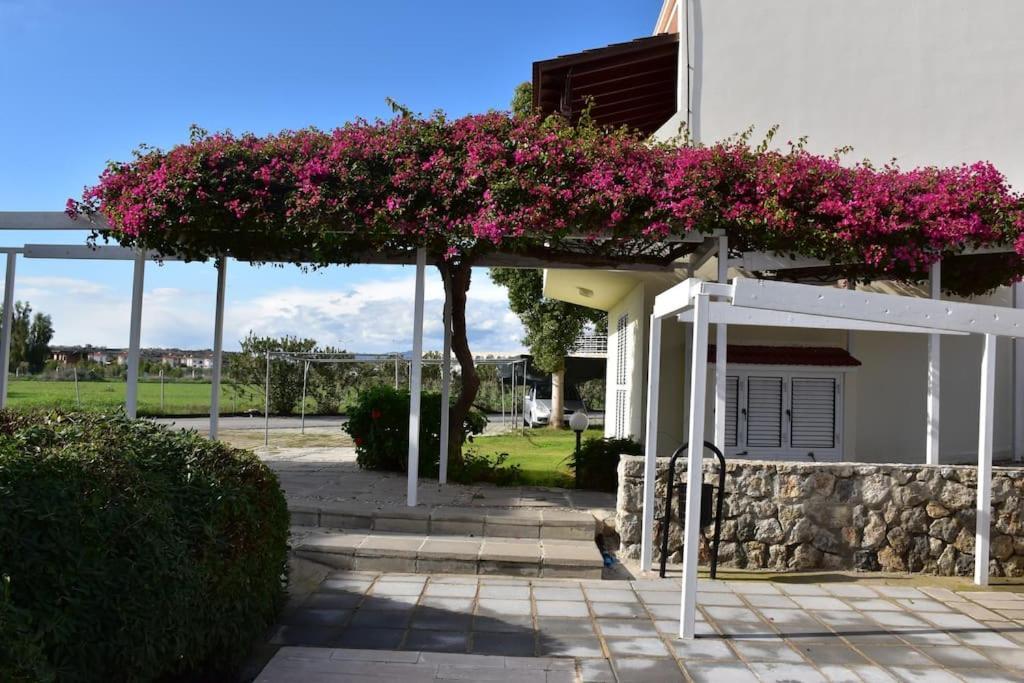 Villa Aqua Bogazi Kültér fotó